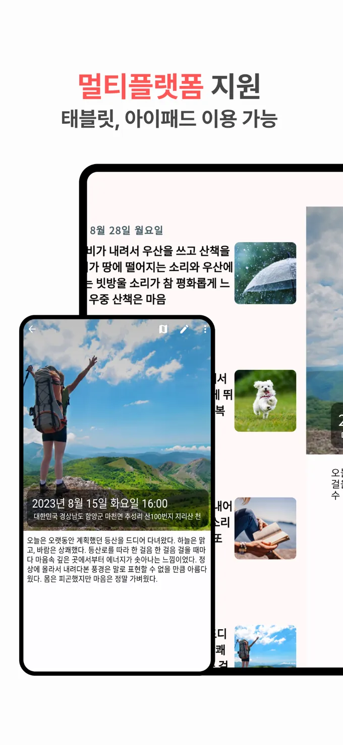 Goodiary tablet support